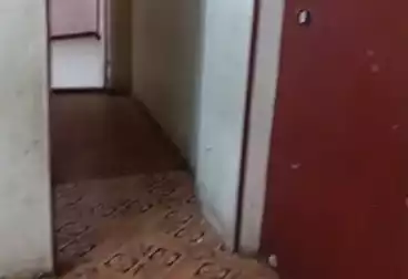 شقق للإيجار - 2 غرف - بالدور 1