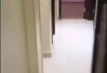 Apartments For rent - 2 rooms - floor 9