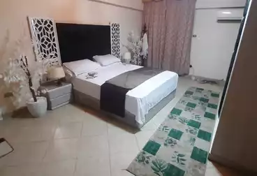Properties For rent - 3 rooms - floor 5