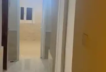 عقارات للإيجار - 3 غرف - بالدور 0