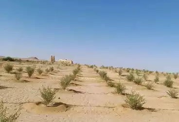 Farm For sale