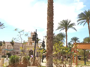 عقارات للبيع - 1 غرف - بالدور 1