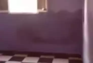 undefined undefined - 2 rooms - floor 4