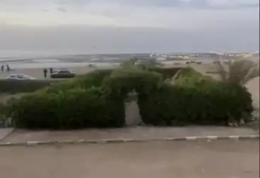 Villas For sale - 7 rooms