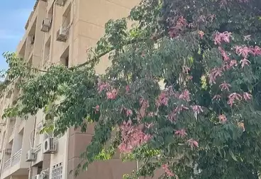 Apartments For rent - 2 rooms - floor 5