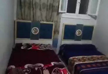 شقق مفروشة للإيجار - 3 غرف - بالدور 5