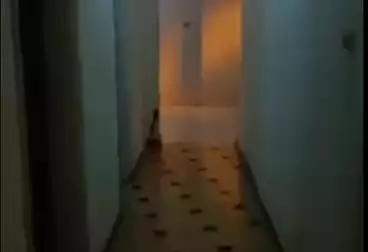 Apartments For rent - 3 rooms - floor 6