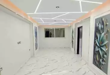 شقق للبيع - 3 غرف - بالدور 1