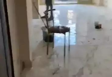 Apartments For sale - 3 rooms - floor 7