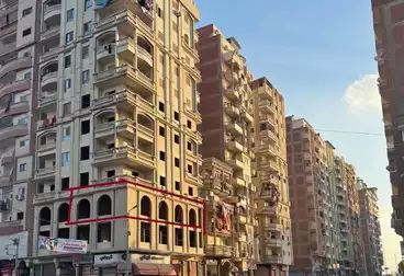 شقق للبيع - 3 غرف - بالدور 2