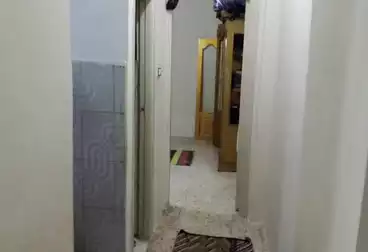 شقق للبيع - 2 غرف - بالدور 1