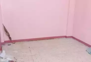 undefined undefined - 3 rooms - floor 2