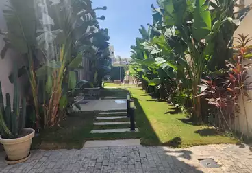 فلل للإيجار - 4 غرف