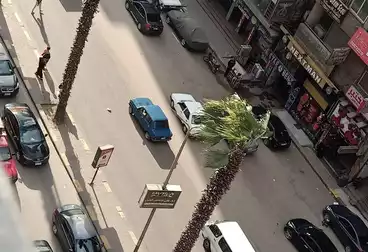 طبي للإيجار - 3 غرف - بالدور 6