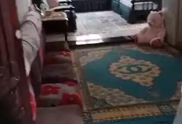 undefined undefined - 2 rooms - floor 1