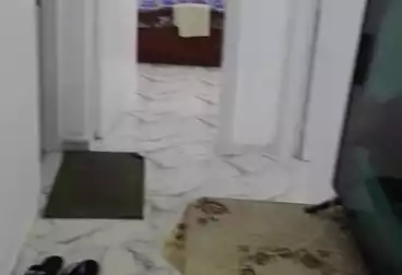 undefined undefined - 2 rooms - floor 1