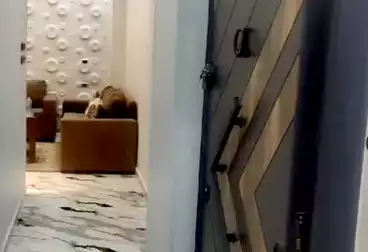 Furnished Apartment For sale - 2 rooms - floor 1