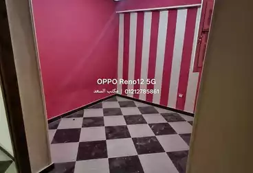 شقق للبيع - 3 غرف - بالدور 6