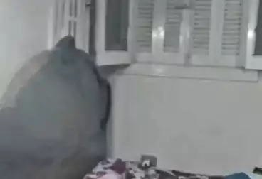 undefined undefined - 2 rooms - floor 12