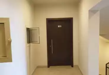 شقق للبيع - 2 غرف - بالدور 1