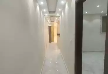 شقق للبيع - 3 غرف - بالدور 11