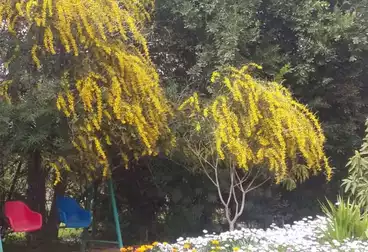 فلل للبيع - 3 غرف