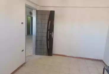 Apartments For rent - 2 rooms - floor 4