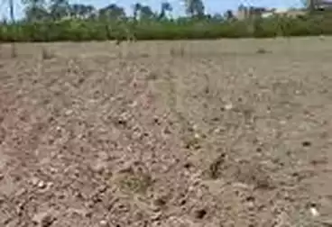 أرض مباني سكنية للبيع