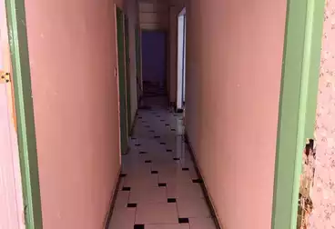 Apartments For rent - 3 rooms - floor 6