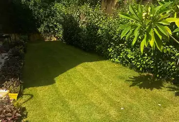 فلل للإيجار - 3 غرف