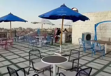 عقارات للإيجار - بالدور 11