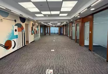 عقارات للإيجار - بالدور 6