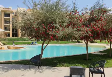 عقارات للإيجار - 2 غرف - بالدور 0