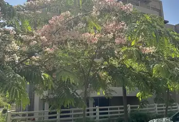 undefined undefined - 2 rooms - floor 1