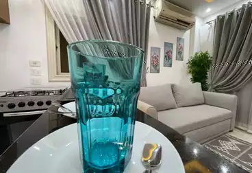 Furnished Apartment For rent - 1 rooms - floor 1