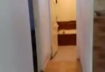 Apartments For rent - 2 rooms - floor 3