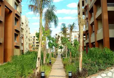 شقق للبيع - 3 غرف - بالدور 1