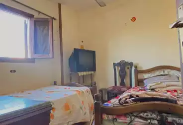 undefined undefined - 3 rooms - floor 7