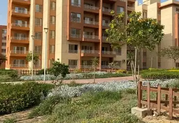 شقق للبيع - 3 غرف - بالدور 2