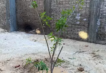 دوبلكس للبيع - 4 غرف - بالدور 1