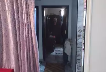 Apartments For rent - 2 rooms - floor 6