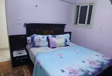 شقق للبيع - 3 غرف - بالدور 6