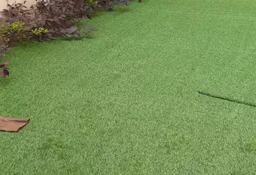 Duplex For rent - 3 rooms - floor 1