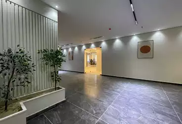 إداري للإيجار - 10 غرف - بالدور 1