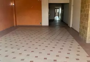 شقق للإيجار - 3 غرف - بالدور 12