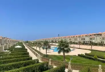 شاليهات للبيع - 3 غرف - بالدور 2