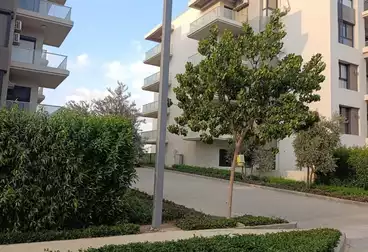 Apartments For rent - 3 rooms - floor 2