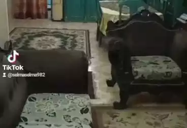 undefined undefined - 2 غرف - بالدور 3