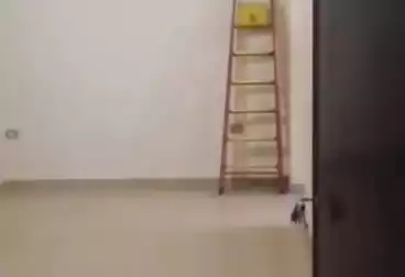 شقق للإيجار - 2 غرف - بالدور 5