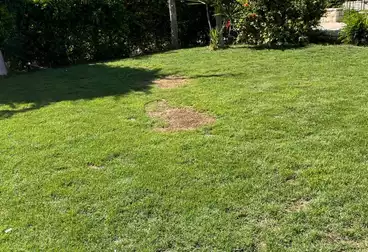 Properties For rent - 3 rooms - floor 1